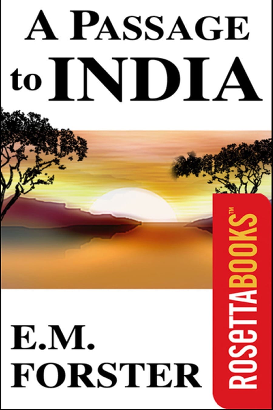 A Passage to India (Comprehensive Summary)