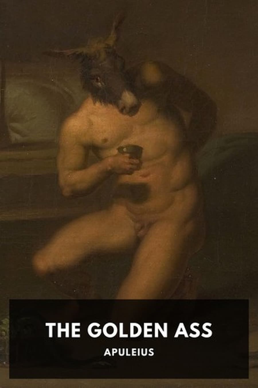 The Golden Ass (Comprehensive Summary)
