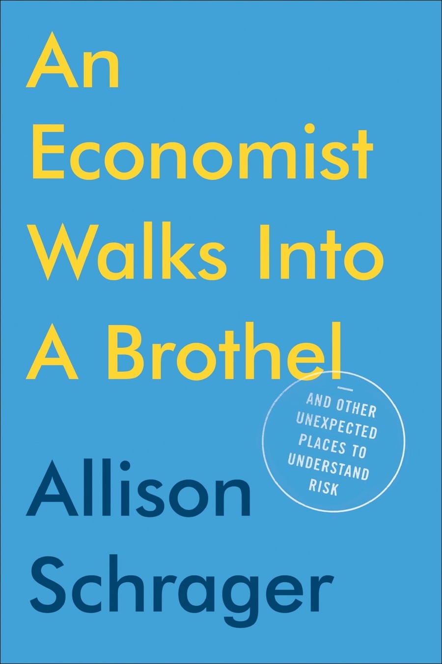 An Economist Walks into a Brothel: And Other Unexpected (Comprehensive Summary)