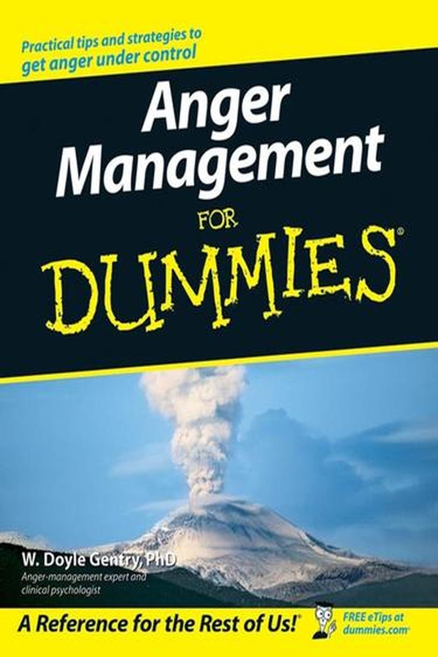Anger Management For Dummies 2006 (Comprehensive Summary)