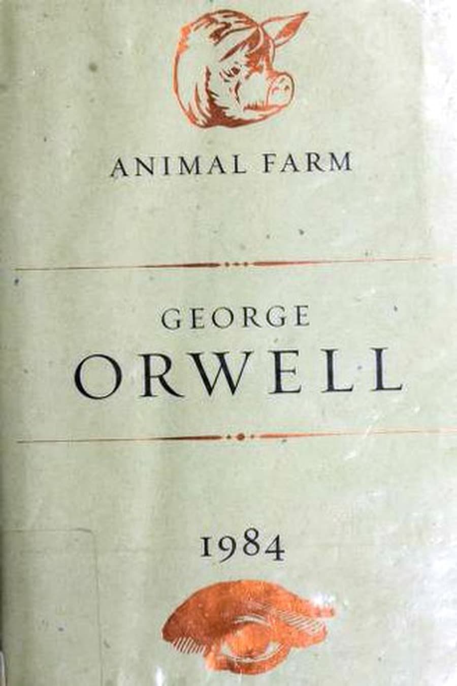 Animal Farm / Nineteen Eighty-Four (Comprehensive Summary)