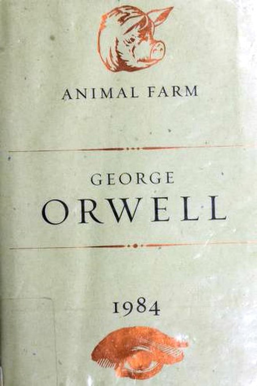 Animal Farm / Nineteen Eighty-Four (Comprehensive Summary)