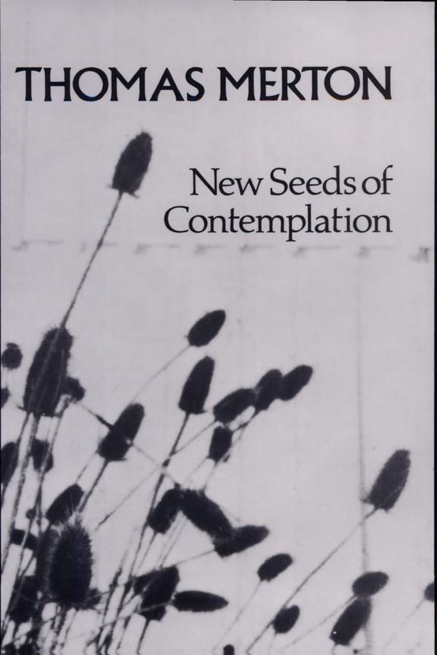 New Seeds of Contemplation (Comprehensive Summary)