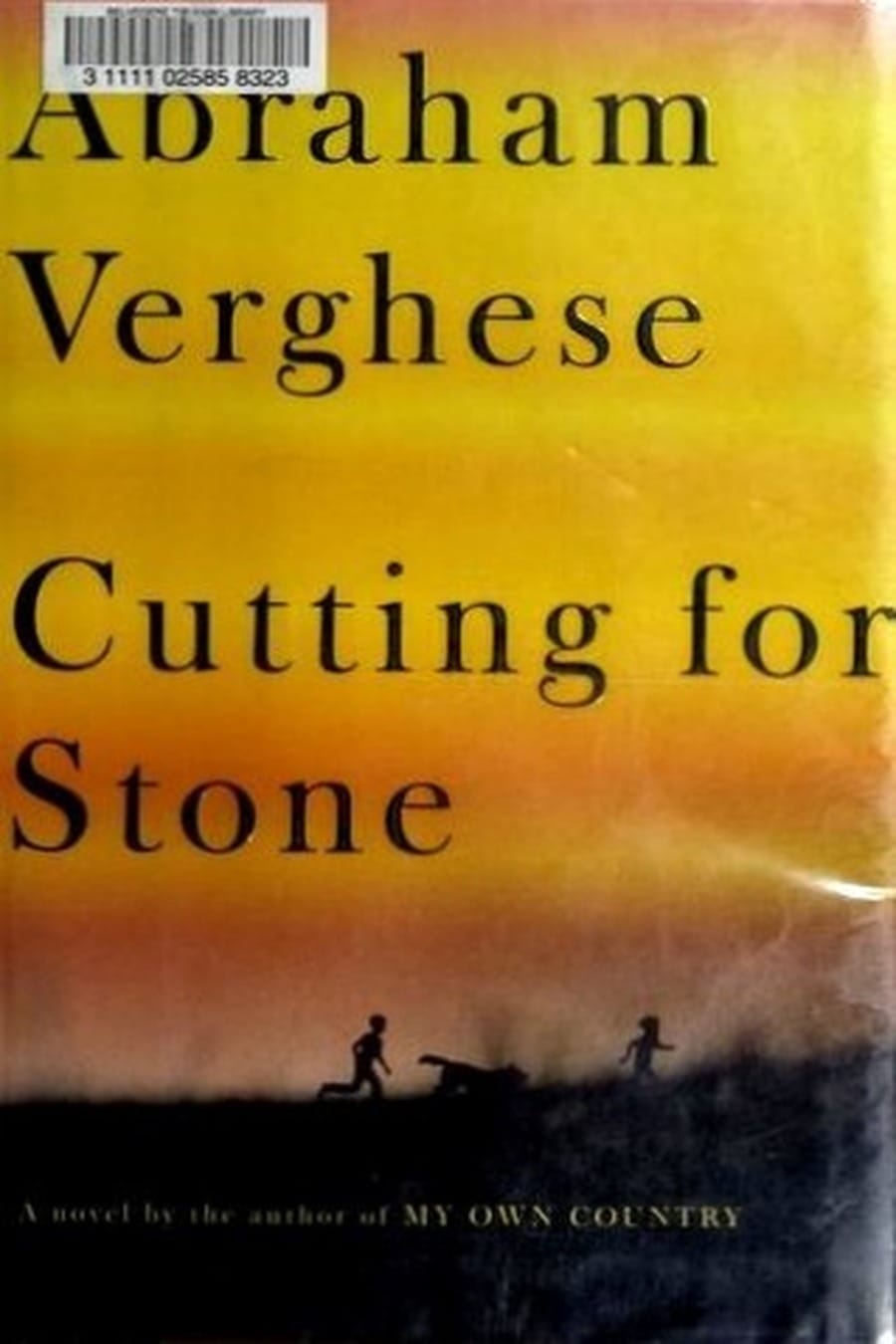 Cutting for Stone (Comprehensive Summary)