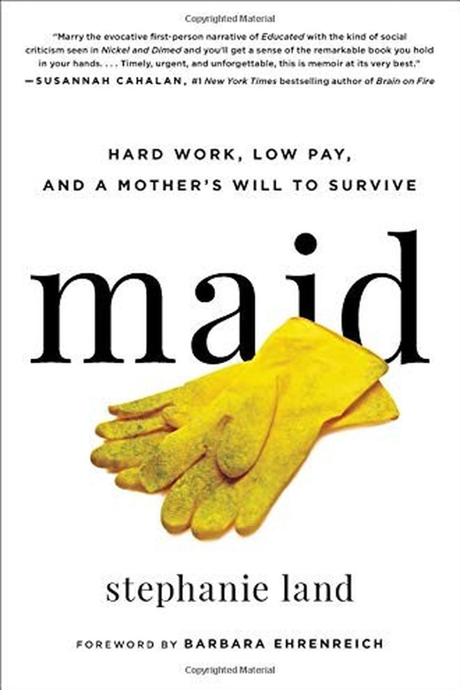 Maid (Comprehensive Summary)