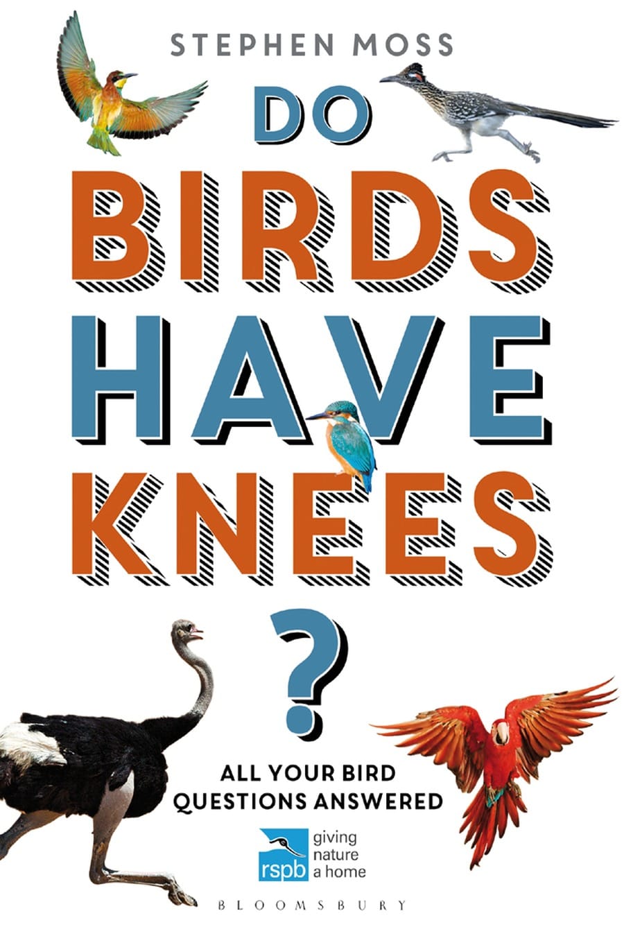 Do Birds Have Knees? All Your Bird Questions Answered (Comprehensive Summary)