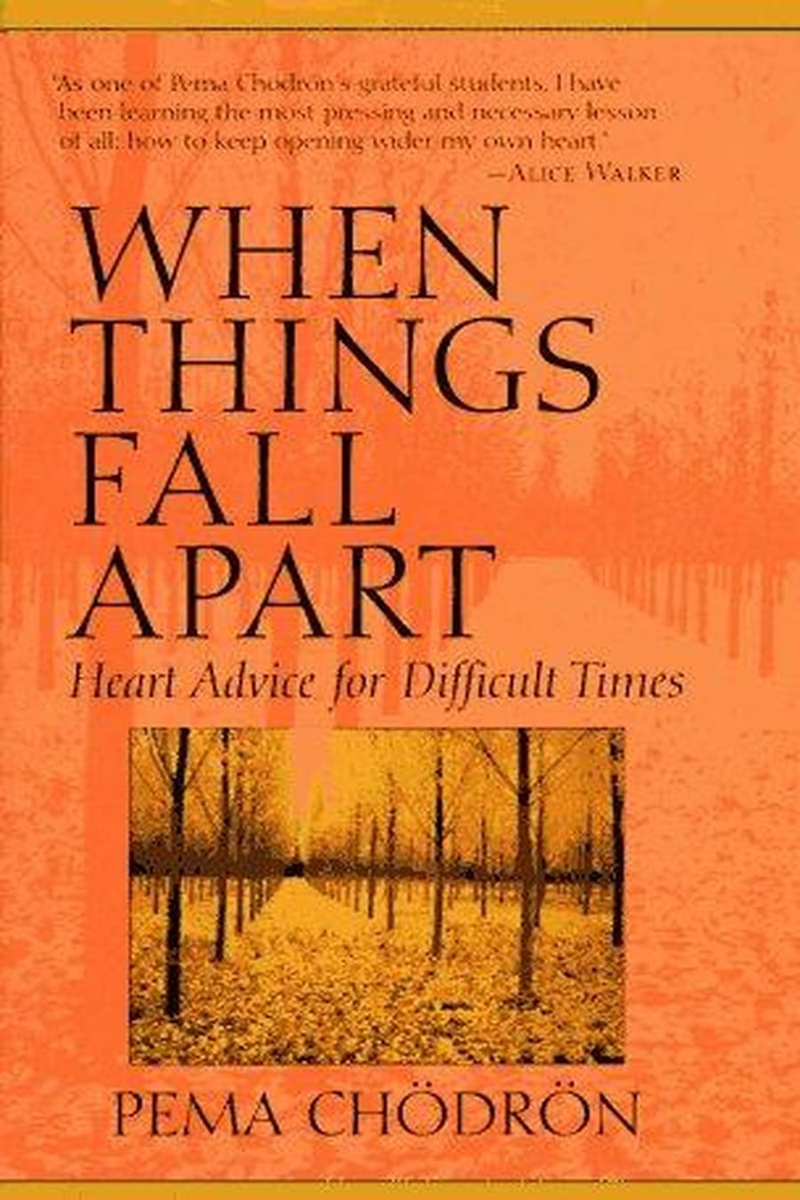 When Things Fall Apart (Comprehensive Summary)