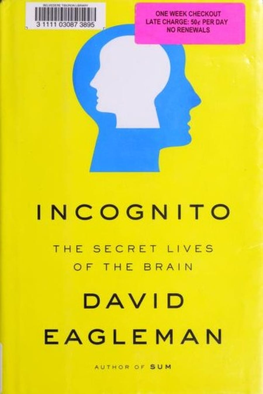 Incognito (Comprehensive Summary)