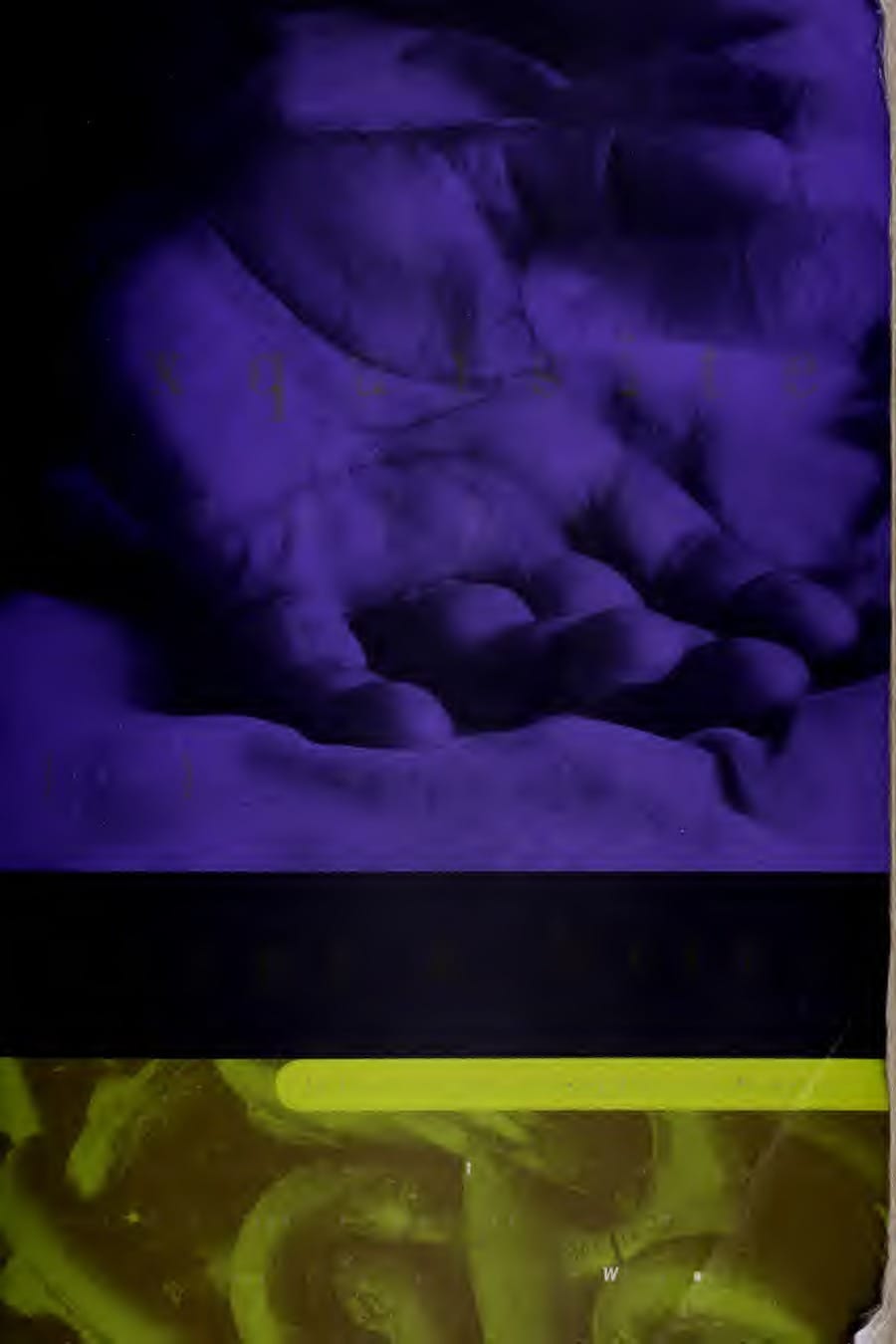 Invisible Man (Comprehensive Summary)