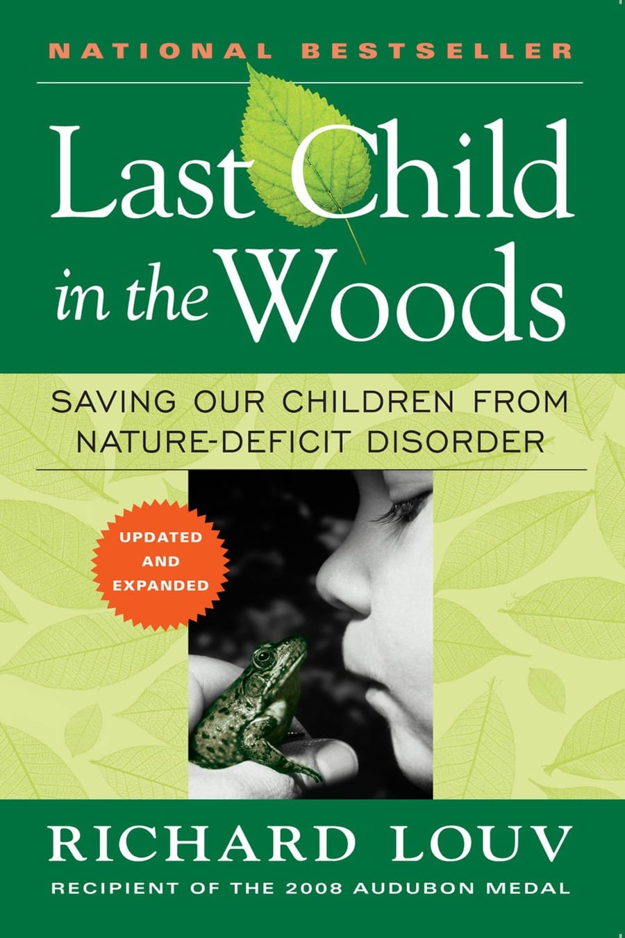 Last Child in the Woods (Comprehensive Summary)