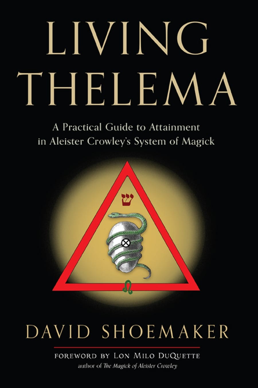 Maximum Achievement (Comprehensive Summary)