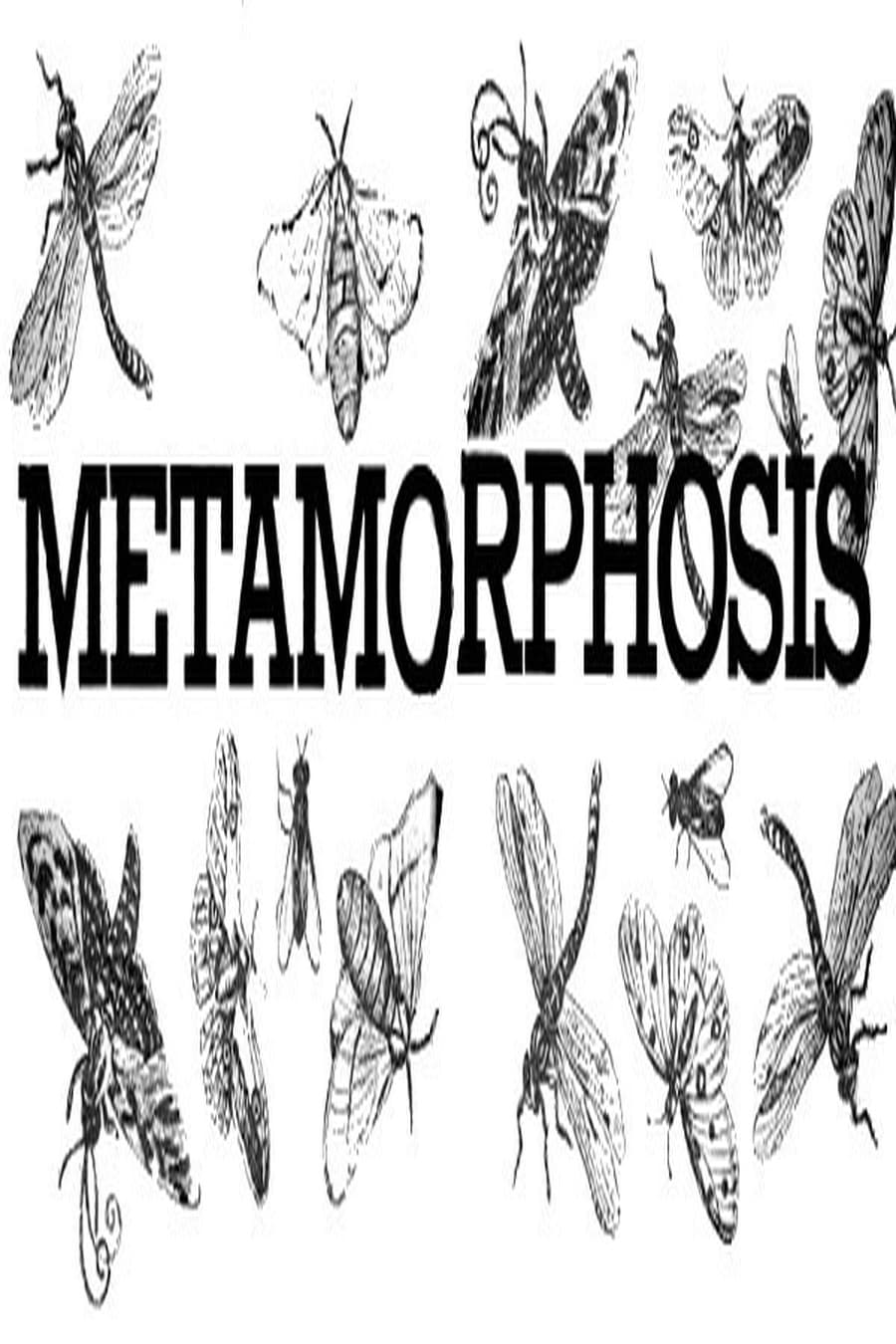 Metamorphosis (Comprehensive Summary)