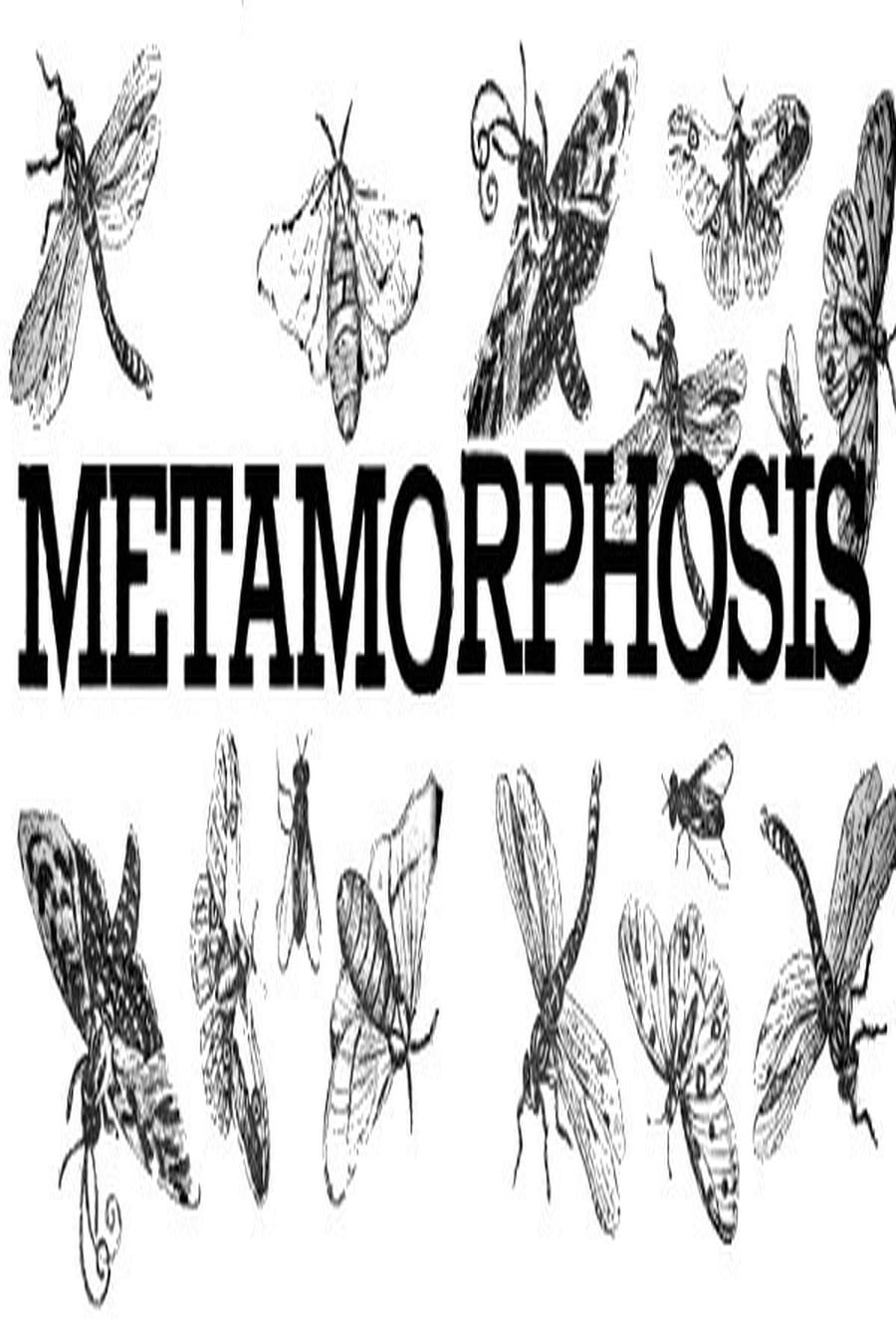 Metamorphosis (Comprehensive Summary)
