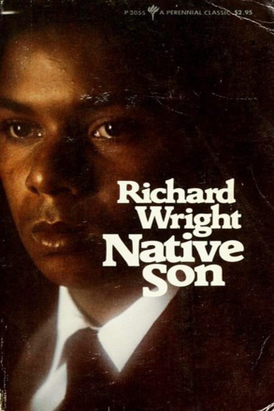 Native Son (Comprehensive Summary)