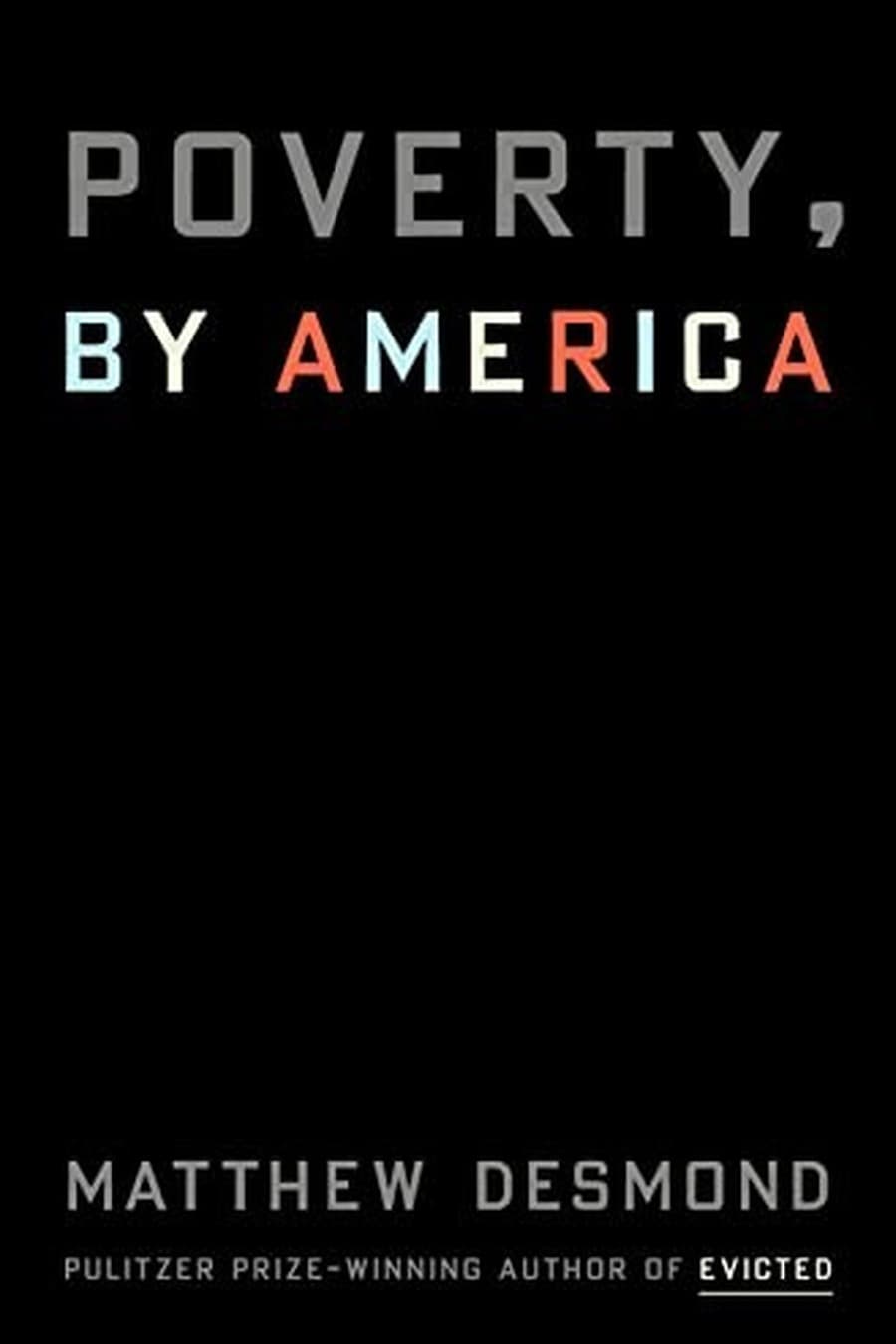 Poverty by America (Comprehensive Summary)