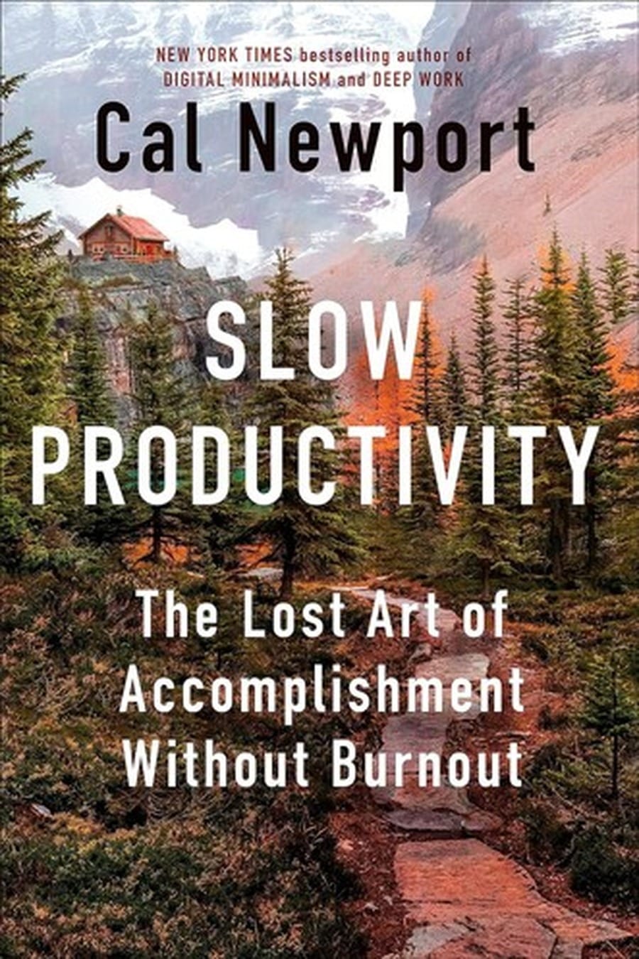 Slow Productivity (Comprehensive Summary)
