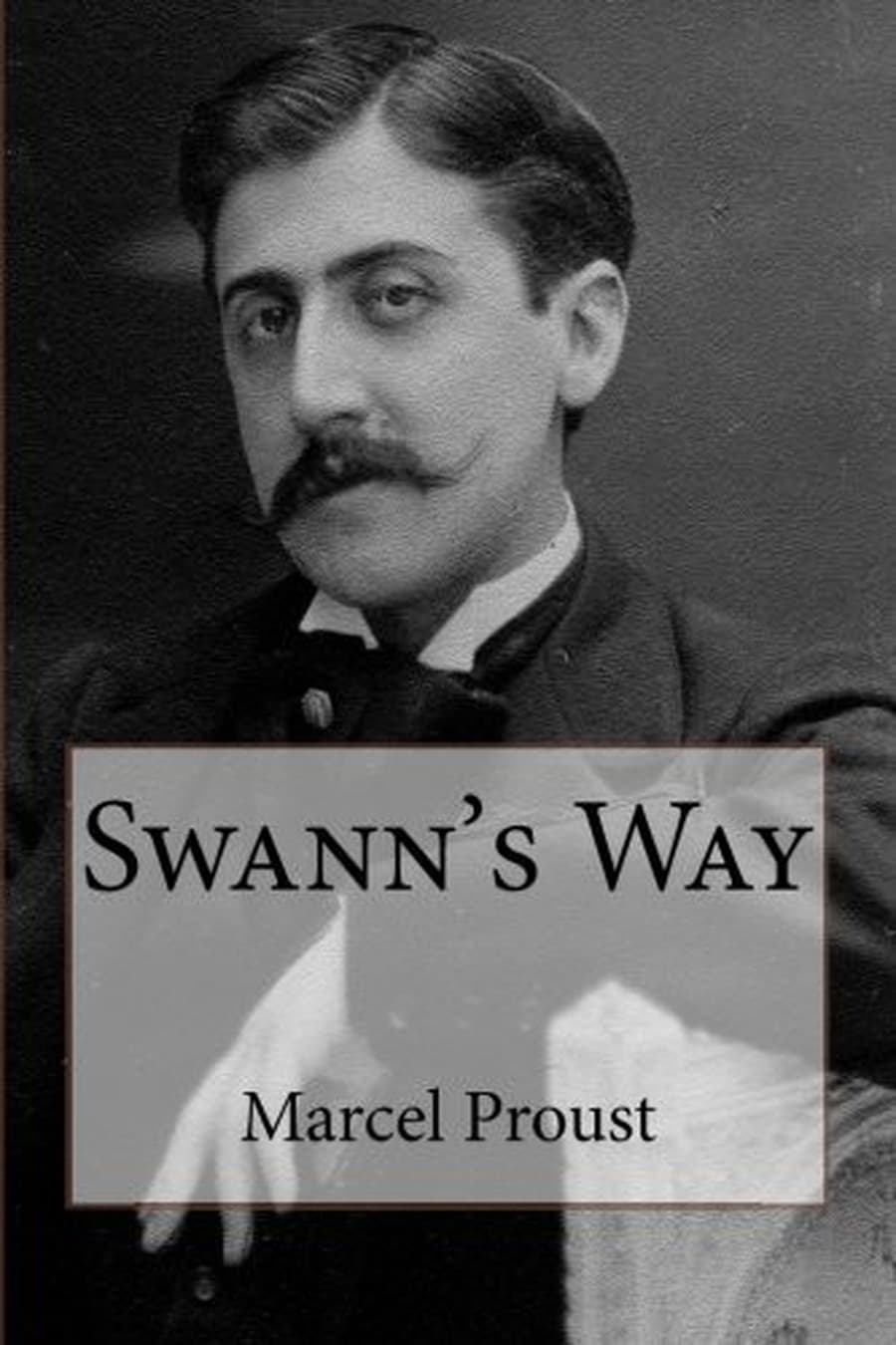 Swann's Way (Comprehensive Summary)
