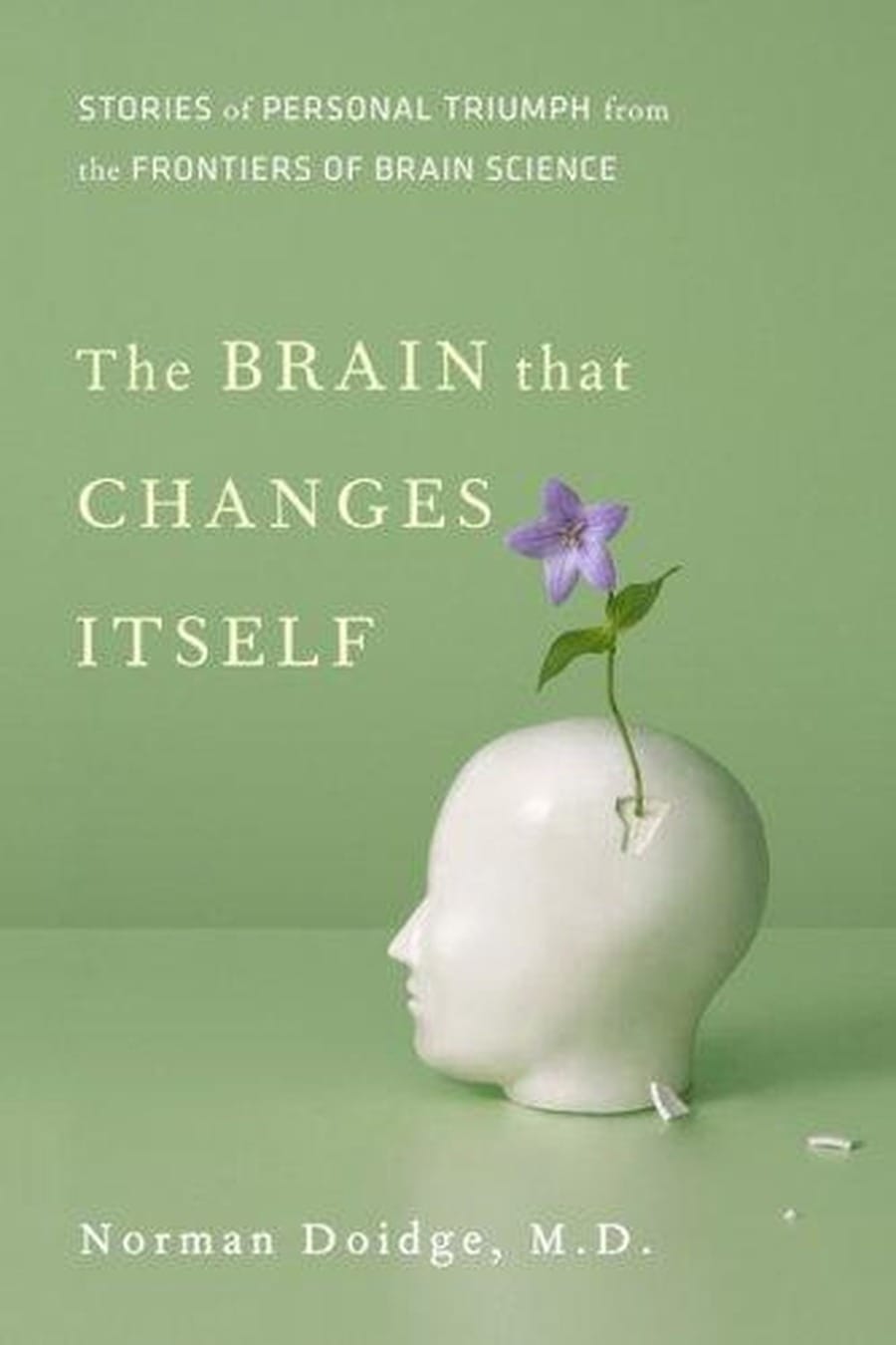 The Brain That Changes Itself (Comprehensive Summary)