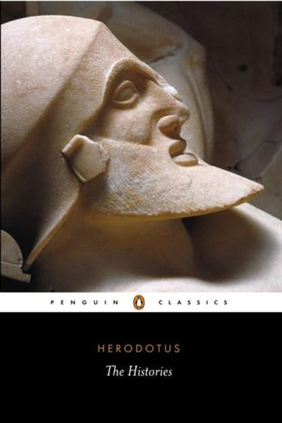 The Histories (Comprehensive Summary)