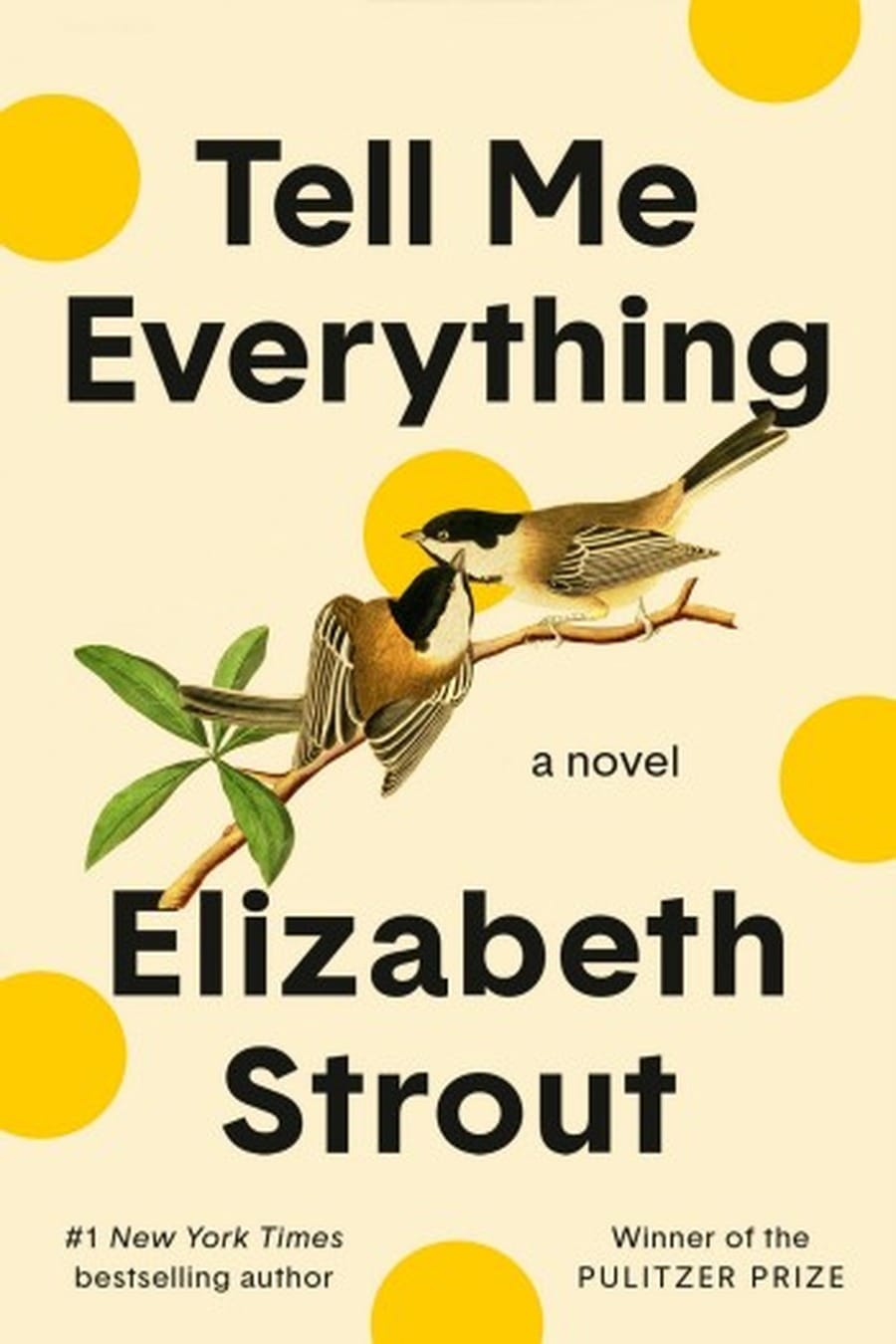 The Storytellers Secret (Comprehensive Summary)