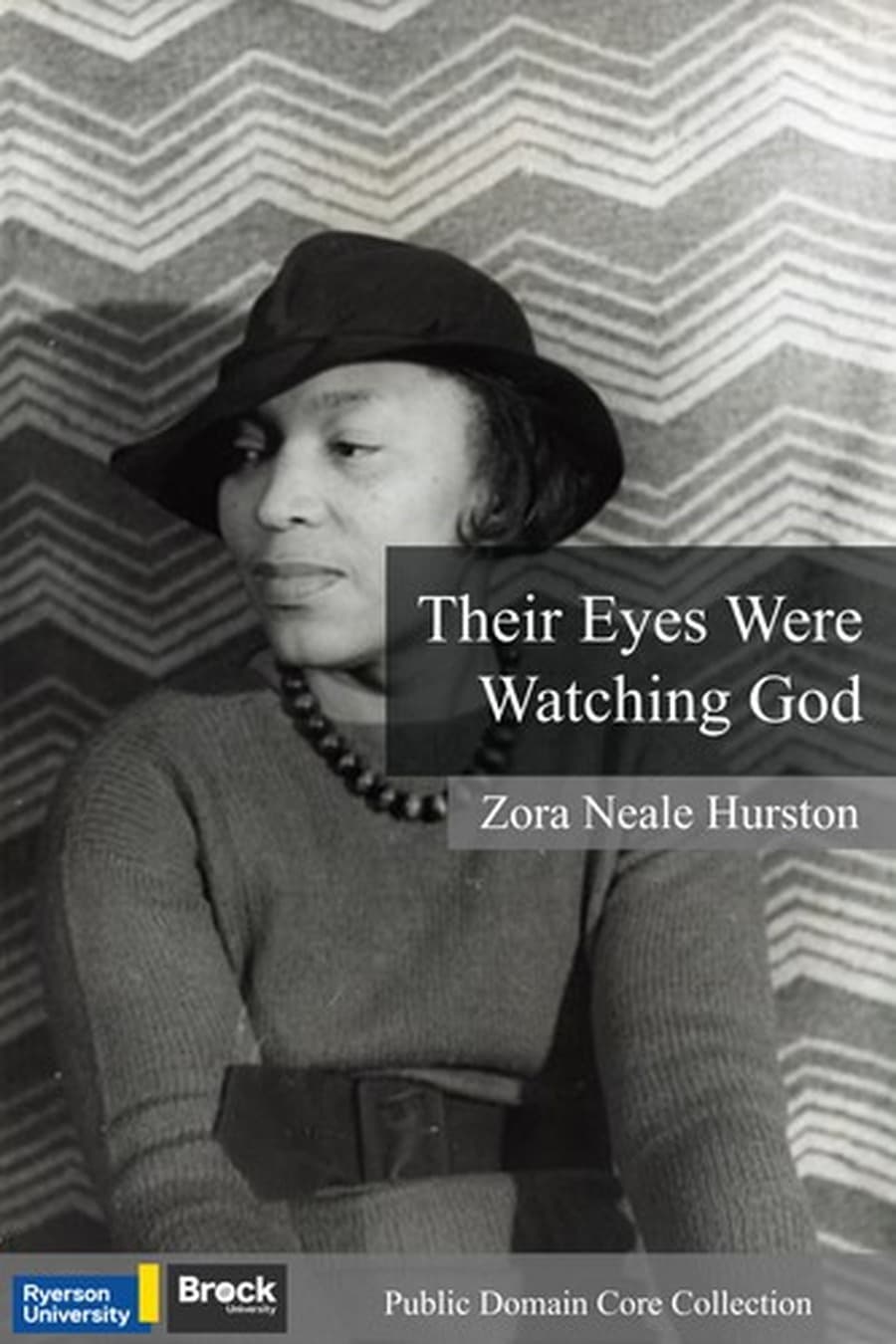 Their Eyes Were Watching God (Comprehensive Summary)